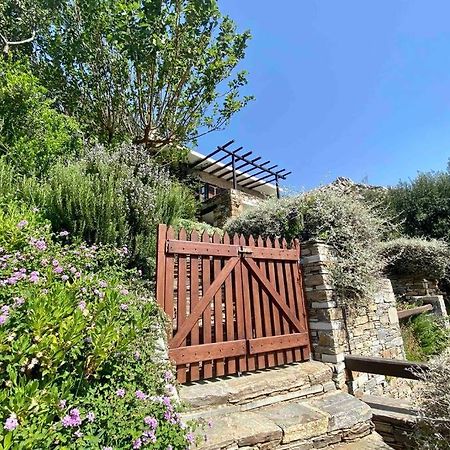 The Old Stone Cottage كاريستوس المظهر الخارجي الصورة